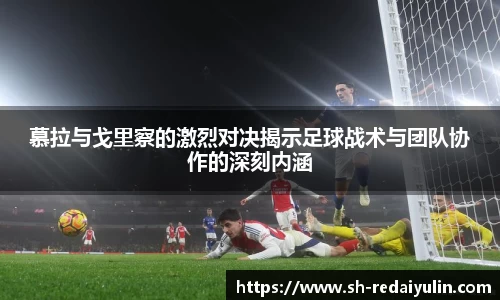 江南体育官网